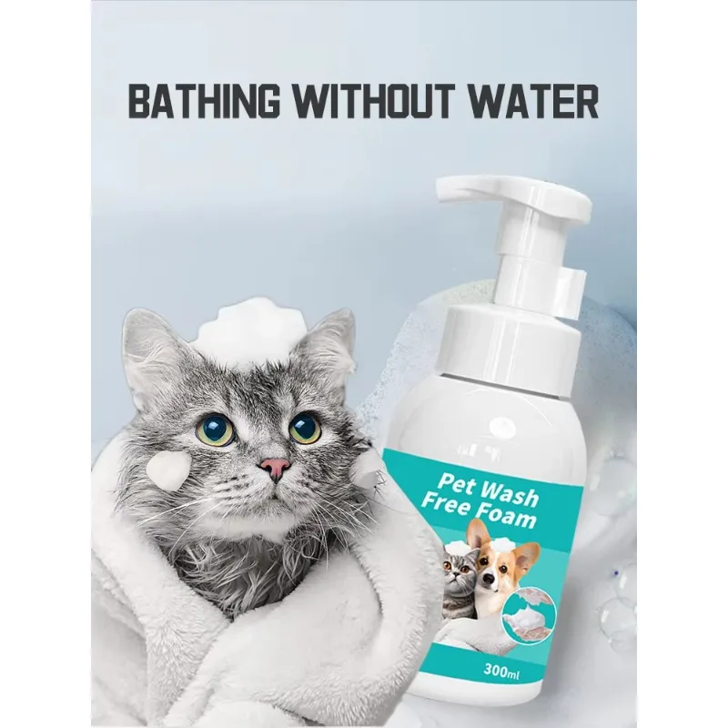 Natural Waterless Dry Shampoo  - Dry Shampoo Travel 评论和价格