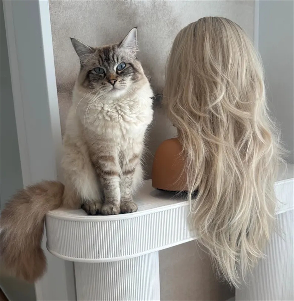 Blonde Layered Wavy Lace Front - Hair Care Wavy Hair 评论和价格